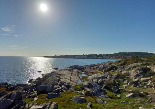 Foto: Jarosław Kibersza