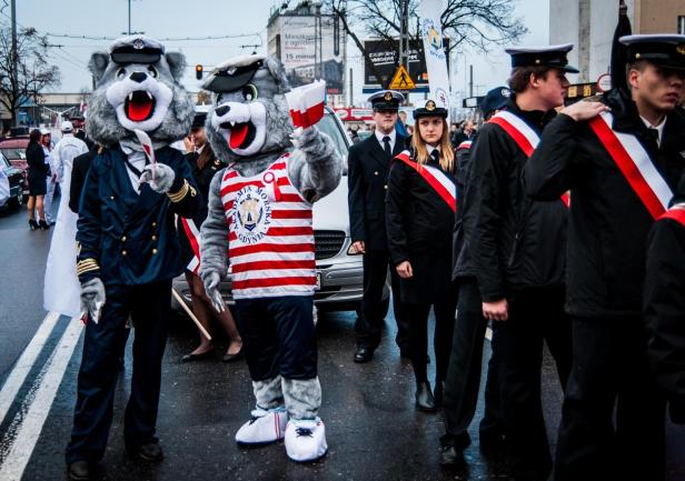 Wilki morskie, fot. Kamil Dopke