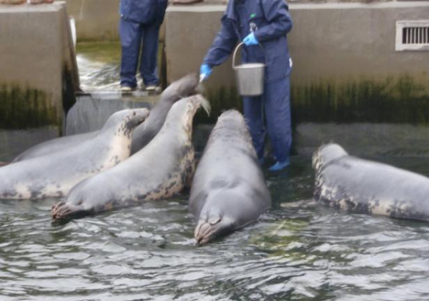 fot. M. Nowotka fot. M. Nowotka